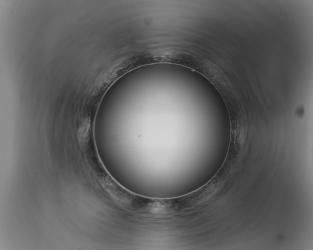 X0000112880660200908281638