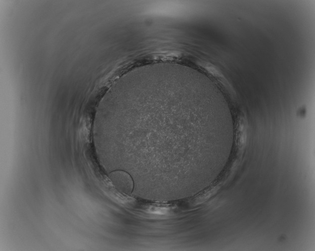 X0000112880661200908281638