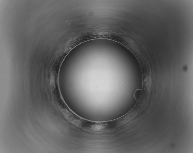 X0000112880662200908281638