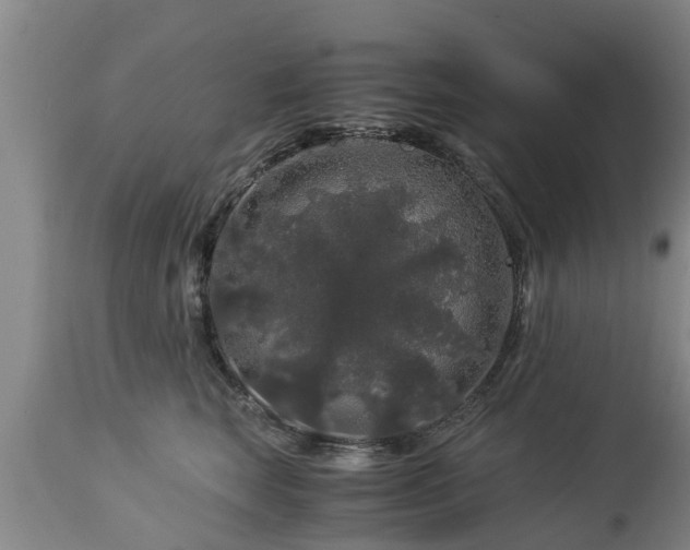 X0000112880663200908281638