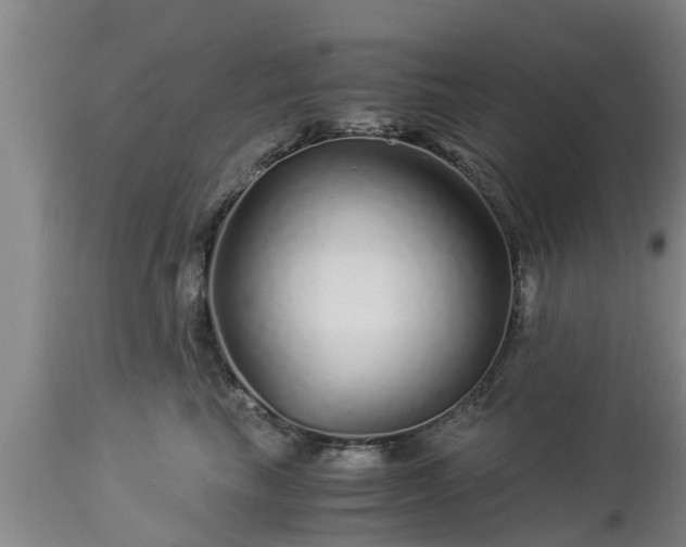 X0000112880665200908281638