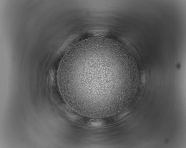 X0000112880667200908281638