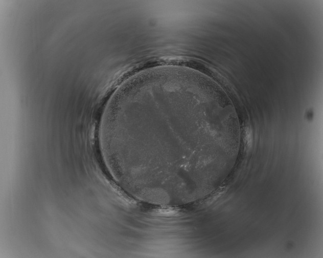 X0000112880668200908281638