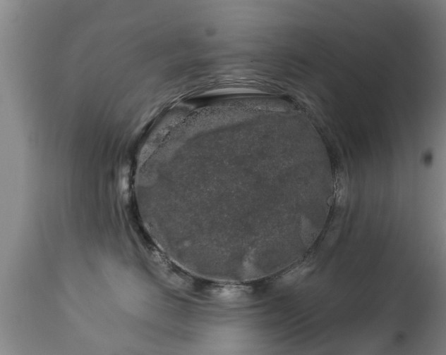 X0000112880670200908281638