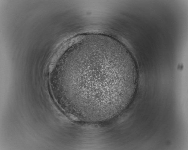 X0000112880673200908281638
