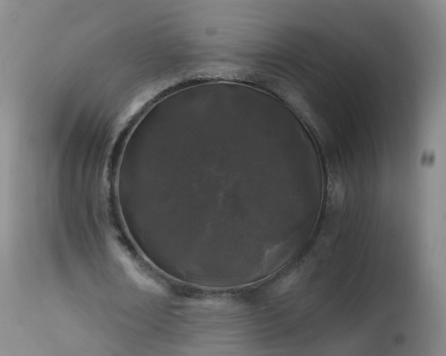 X0000112880674200908281638