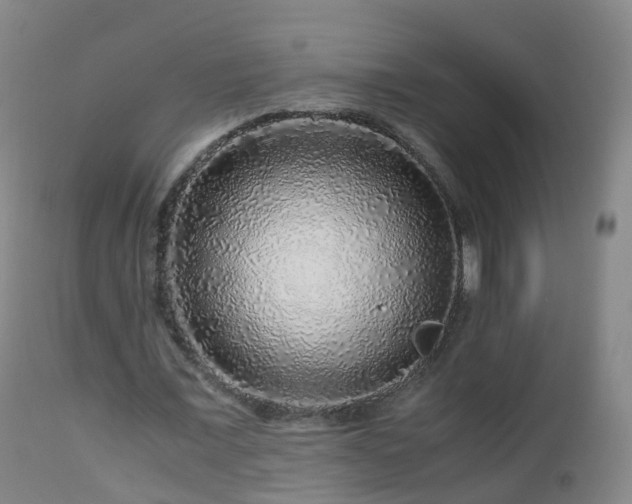 X0000112880675200908281638