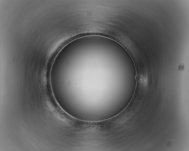 X0000112880676200908281638