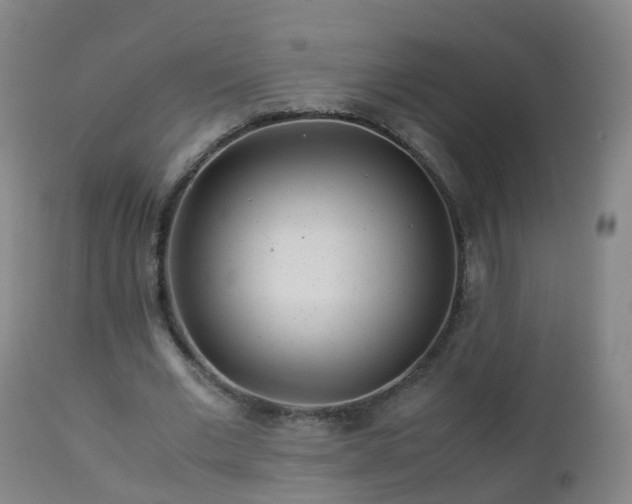 X0000112880677200908281638