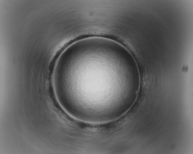 X0000112880679200908281638