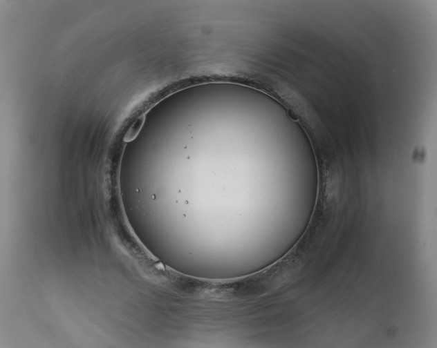 X0000112880680200908281638