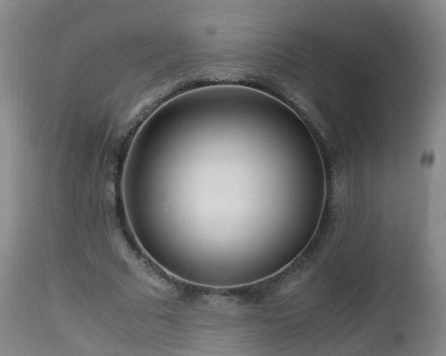 X0000112880681200908281638