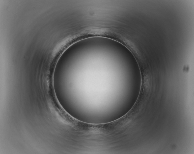 X0000112880682200908281638