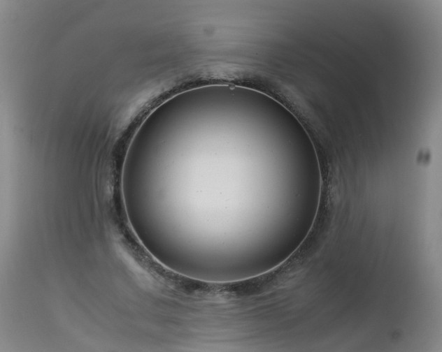 X0000112880683200908281638