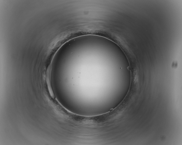 X0000112880685200908281638