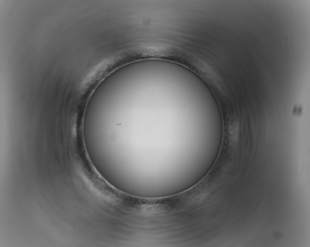 X0000112880686200908281638