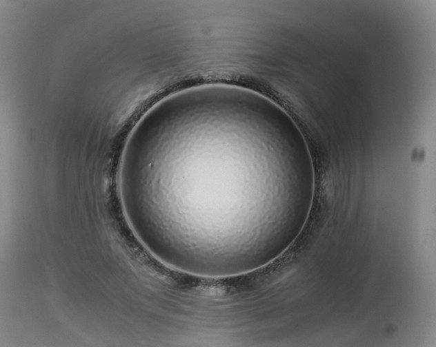 X0000112880687200908281638