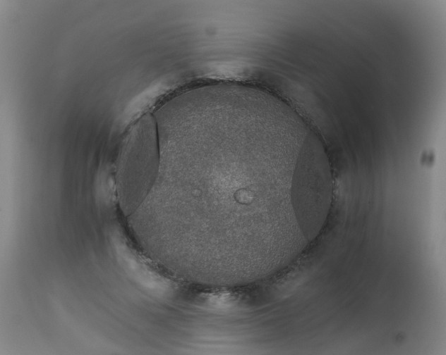 X0000112880688200908281638