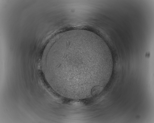 X0000112880689200908281638