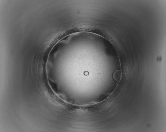 X0000112880690200908281638