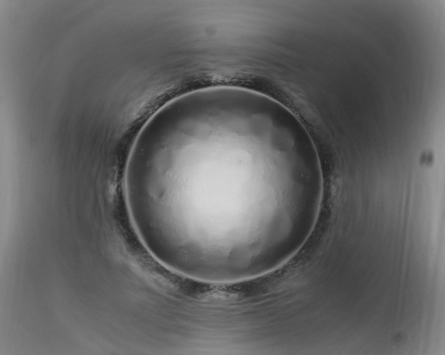 X0000112880691200908281637