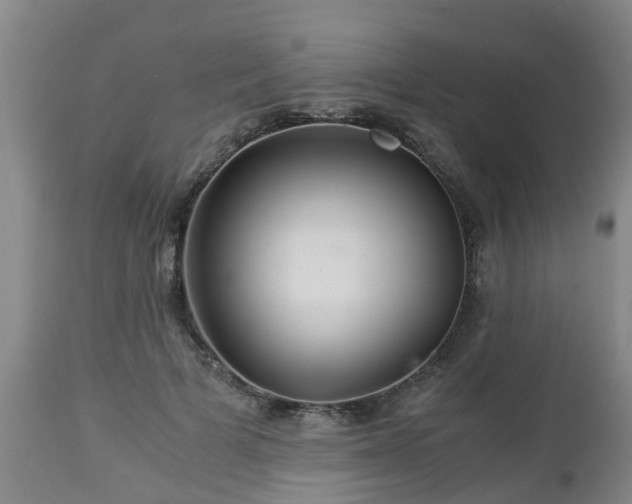 X0000112880697200908281637