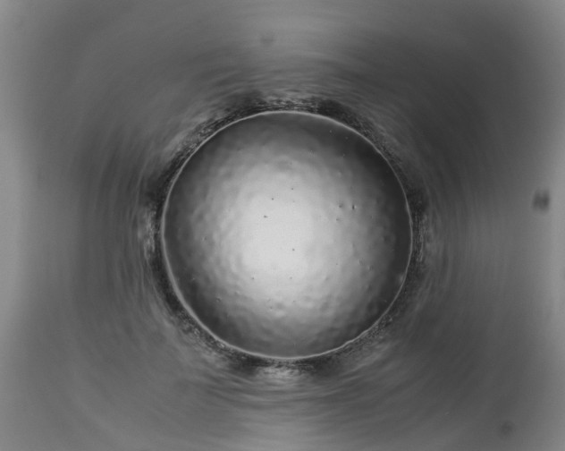 X0000112880699200908281637