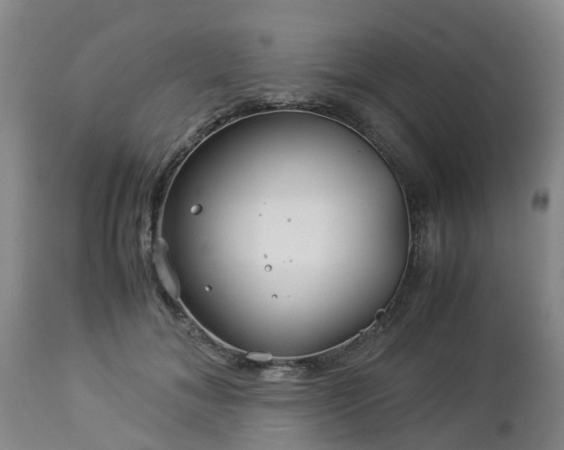 X0000112880700200908281637