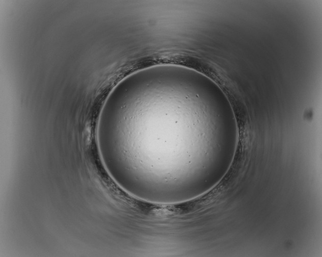 X0000112880703200908281637