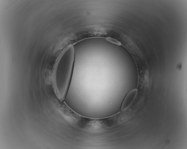 X0000112880704200908281637