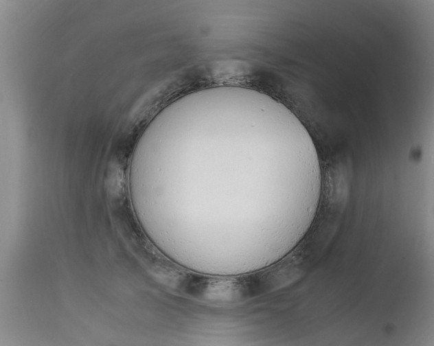 X0000112880705200908281637