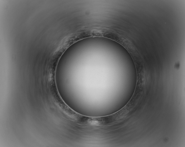 X0000112880706200908281637