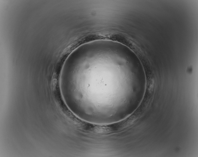 X0000112880707200908281637