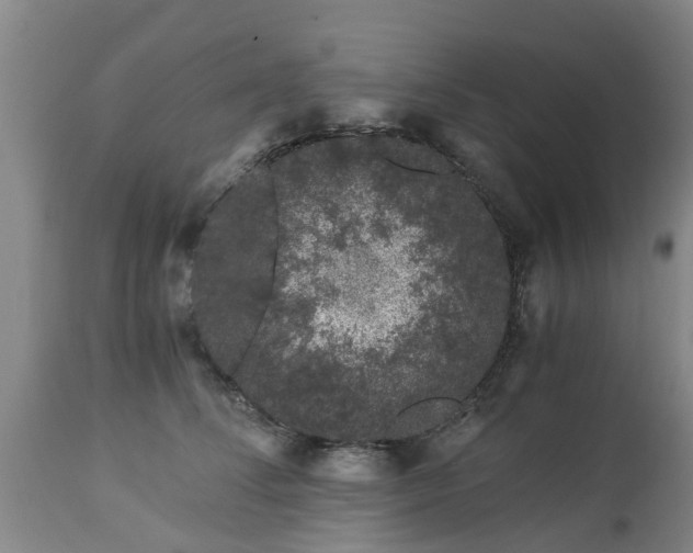 X0000112880708200908281637