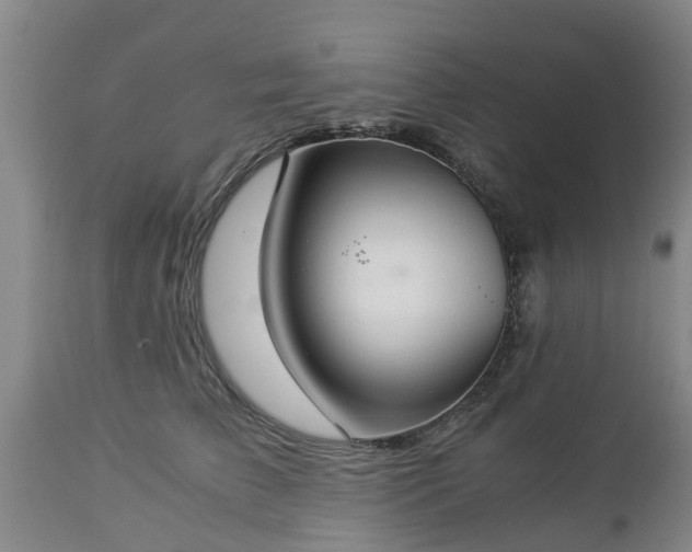 X0000112880709200908281637