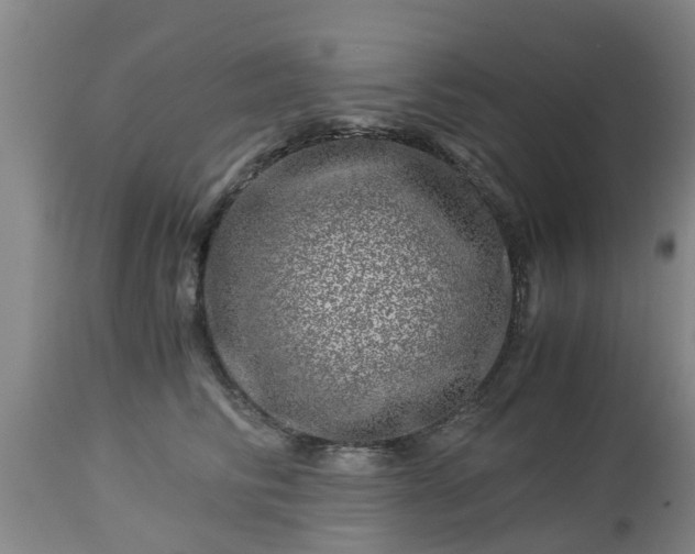 X0000112880710200908281637