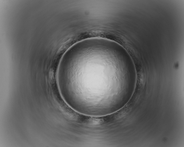 X0000112880711200908281637