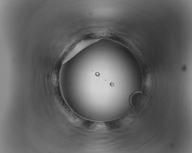 X0000112880715200908281637