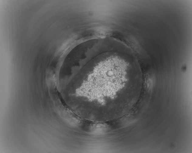 X0000112880716200908281637