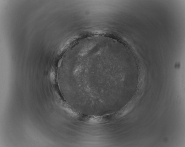 X0000112880720200908281637