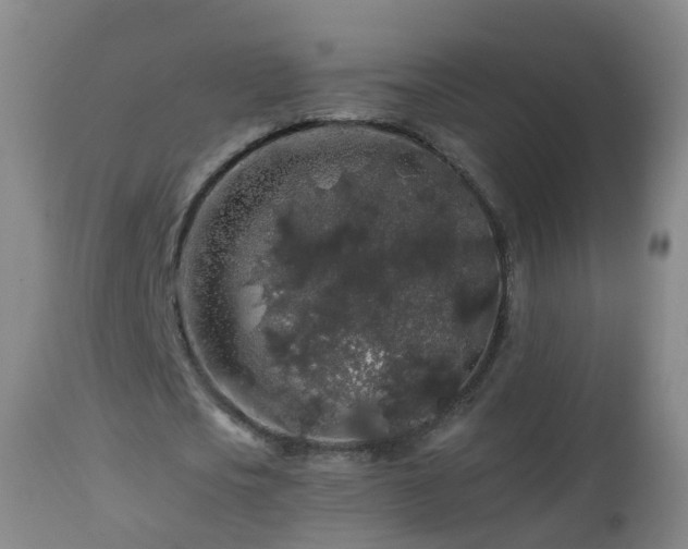 X0000112880721200908281636