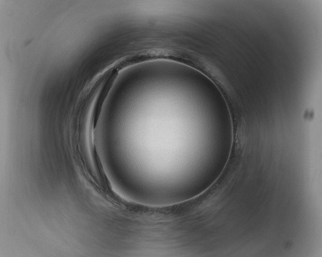 X0000112880722200908281636