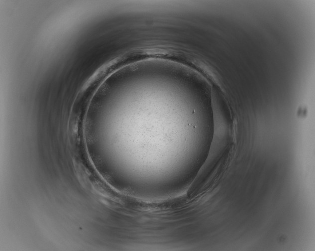 X0000112880723200908281636