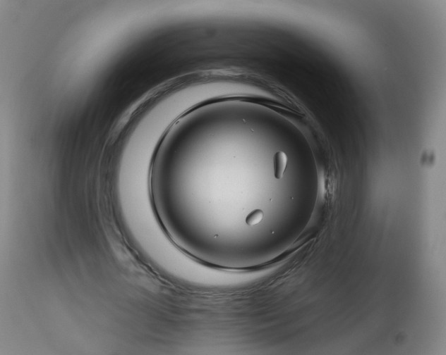 X0000112880724200908281636