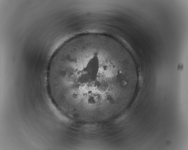 X0000112880725200908281636