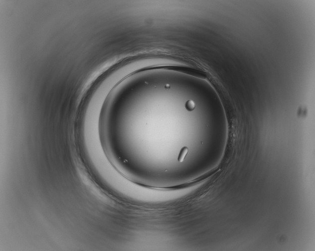 X0000112880726200908281637