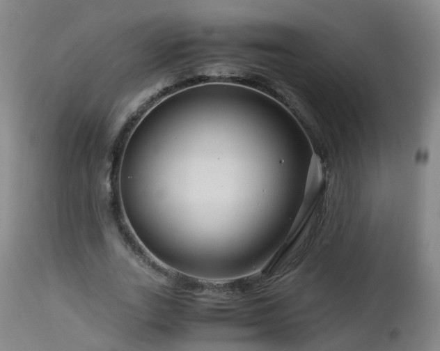 X0000112880727200908281637