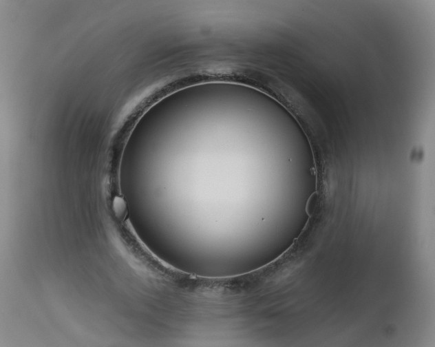 X0000112880728200908281637