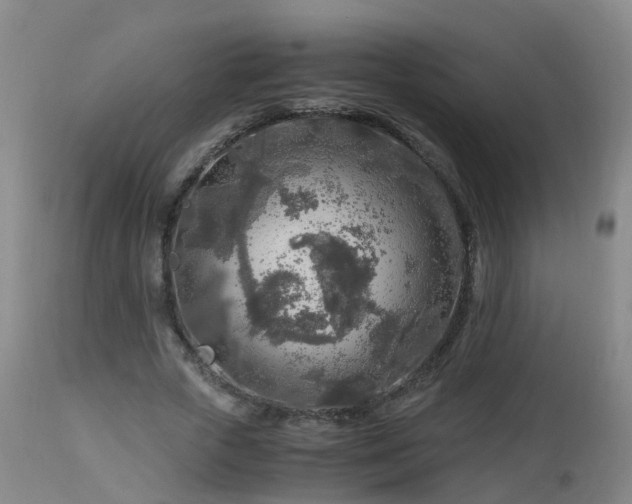 X0000112880729200908281637