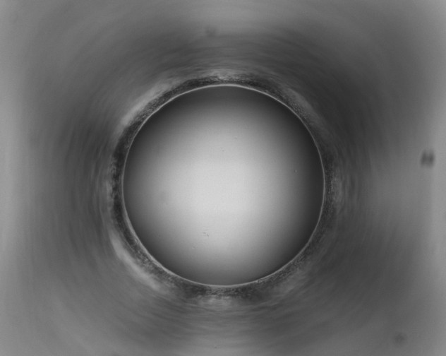 X0000112880730200908281637